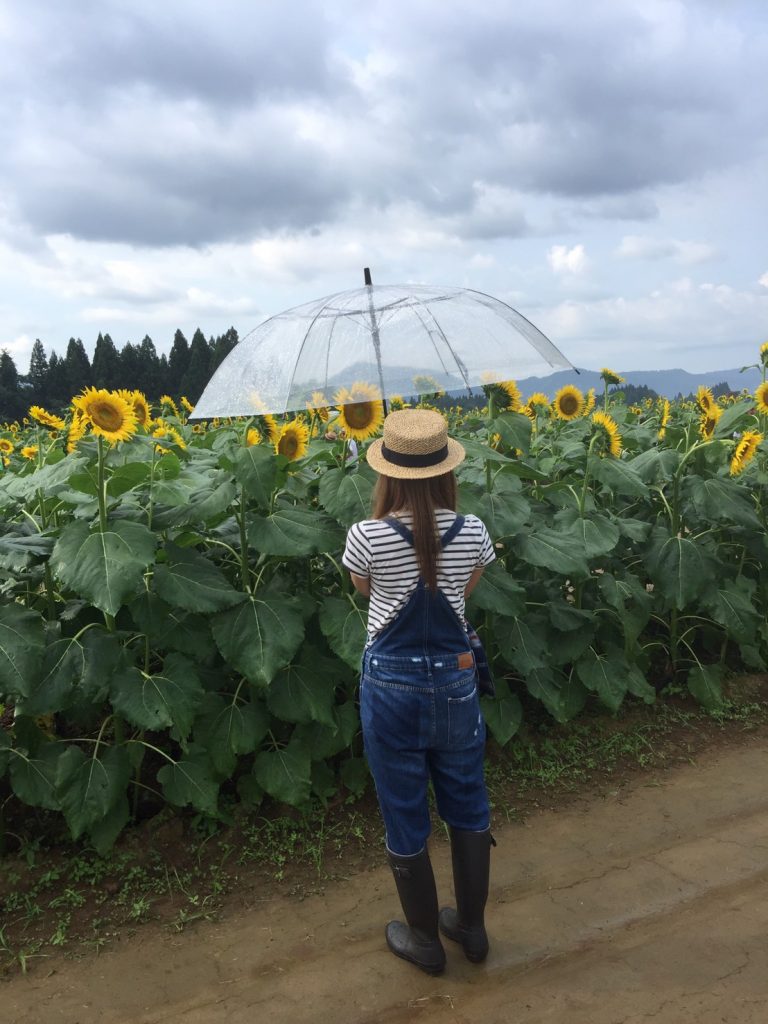 津南ひまわり広場