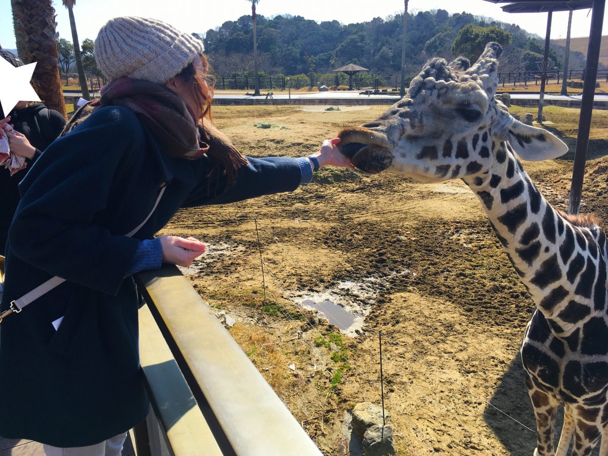 冬休み③ 和歌山 アドベンチャーワールド その他どうぶつ編