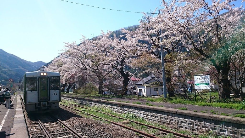 青森の桜