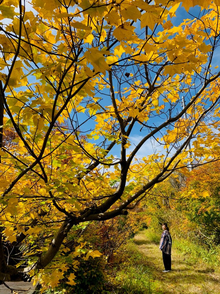 銀山平は色鮮やかな紅葉！